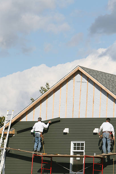 Best Storm Damage Siding Repair  in Columbus, NM